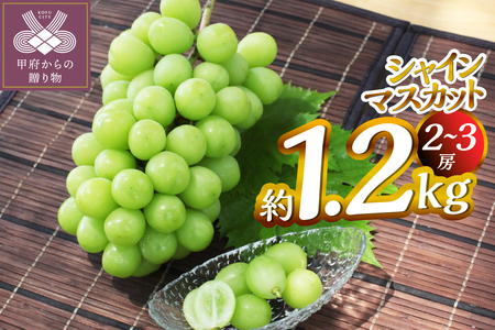 【2025年度配送分】甲府市産　シャインマスカット　約1.2kg（2～3房）