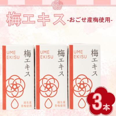 ふるさと納税 越生町 梅エキス 3本入り