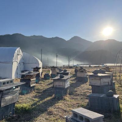 ふるさと納税 千曲市 【極上四季の純粋生蜂蜜】ずくなし農園　薬剤不使用・砂糖無給餌・非加熱・花粉無濾過 230g×3種類 |  | 01