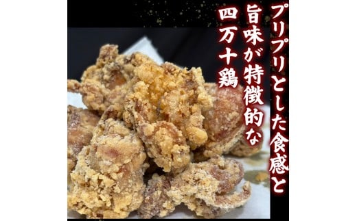 鶏肉 もも むね 1.2kg 8人前 ブランド鶏 四万十鶏 特製たれ漬け 大容量 ヘルシー セット 唐揚げ から揚げ からあげ用 高知県 須崎市