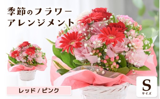 選べるカラー 季節のフラワーアレンジメント S (レッド・ピンク) お花 フラワー 花束 ギフト 生花 プレゼント 花束 花 記念日 お祝い 入学式 卒業祝い 結婚式 ウエディング フラワーギフト 贈り物 贈答 お祝い事 [A-20711_01]
