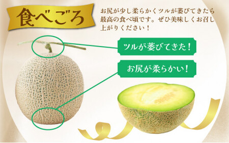 TNM2L ＜先行予約・数量限定＞ 串間産アールスメロン２Ｌ２玉（計３kg以上）【谷口農園】