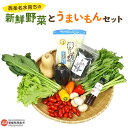 【ふるさと納税】＜西条名水育ちの新鮮野菜とうまいもんセット＞※翌月末迄に順次出荷します。（旬のお野菜と加工品セット） やさい ドレッシング 詰め合わせ 産地直送 おまかせ 農産物 国産 愛媛県 西条市【冷蔵】