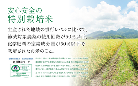 【定期便 全5回】金峰コシヒカリ 5kg×5ヶ月 お米定期便 コシヒカリ 特別栽培農産物 コメ おこめ 5キロ こしひかり 米 鹿児島県産 令和5年産 南さつま市