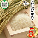 【ふるさと納税】 コシヒカリ 5kg 特A 沖縄県への配送不可 長野県 飯綱町 ふるさと振興公社 【 お米 こしひかり 信州 長野 白米 精米 信州のお米 米 】 [お届け1回 (**)]