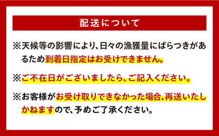 朝どれ 鮮魚 詰め合わせ 3種（2～3人前) 下処理 あり / アジ アラカブ タイ カワハギ など  魚 新鮮 セット 冷蔵 産地直送 下処理済み / 南島原市 / 美吉屋[SDW003]