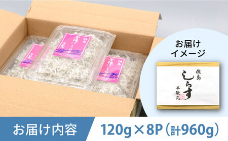釜揚げ 湘南しらす 960g 小分け 120g×8パック【平敏丸】[AKEZ002]