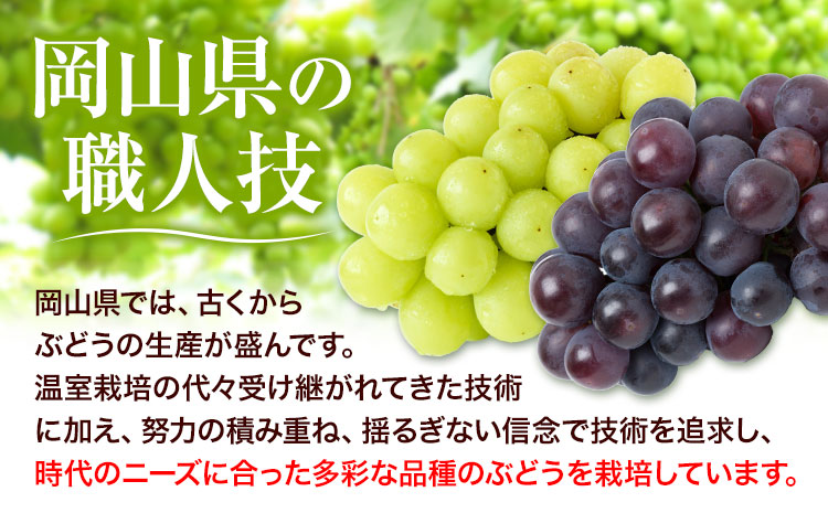 【先行予約】 岡山県産 つる付きニューピオーネ 1房 680g以上 ハウス栽培 葡萄 果物 厳選出荷 スイーツ フルーツ デザート 岡山県矢掛町《7月上旬-8月下旬頃に出荷予定(土日祝除く)》 種なしぶどう 【配送不可地域あり】---osy_chbf18_ak7_25_17500_1---