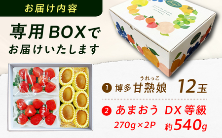 フルーツ詰合せ（あまおうDX 2パック＆キウイ12個） / 果物 くだもの [AFAB087]
