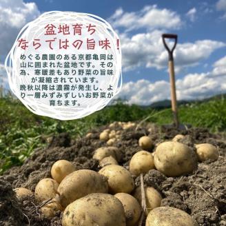 旬の味！お野菜 詰め合わせ BOX 8～10品目（栽培期間中 農薬・化学肥料不使用） 【めぐる農園】京都 亀岡 京野菜 農家より直送