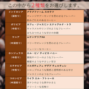 【スペシャルティコーヒー】マスターセレクトセット 160g×2種類 | コーヒー コーヒー コーヒー コーヒー コーヒー コーヒー 【KYW0021】
