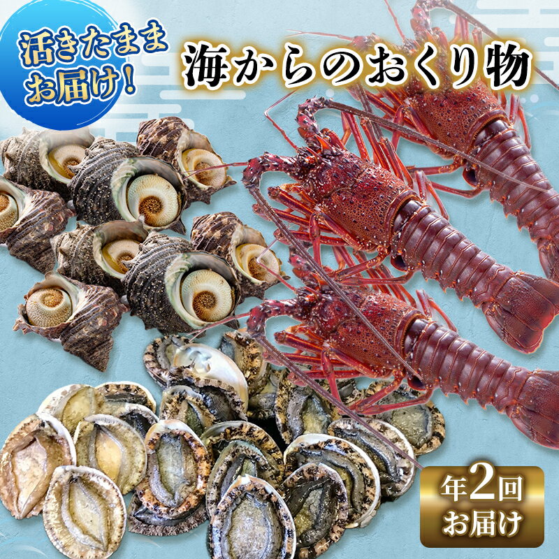 【ふるさと納税】伊勢海老 アワビ サザエ 定期便 年2回 海からのお届け物 伊勢エビ 3～8匹 さざえ 4～15個 あわび 3～5枚 伊勢えび 海老 エビ えび 鮑 貝 魚介 魚介類 海鮮 海鮮セット セット 詰め合わせ 冷蔵 刺身 焼き物 静岡 静岡県 2回 お楽しみ　 河津町