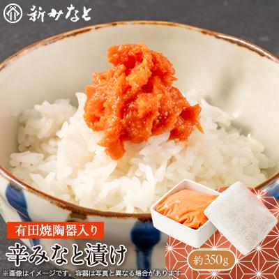 ふるさと納税 大牟田市 辛みなと漬け(約350g)