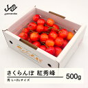 【ふるさと納税】 先行予約 さくらんぼ 紅秀峰 秀品 L-2L玉 500g バラ詰 2025年産 令和7年産 山形県産 mm-bsbax500