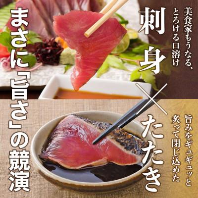 ふるさと納税 芸西村 土佐料理司　一本釣りとろ鰹の刺身1節・鰹たたき2節セット |  | 03