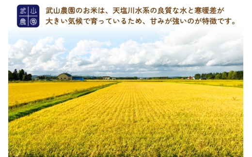 米 令和8年 12回 定期便 ゆめぴりか10kg [武山農園 北海道 剣淵町 14656431 ] 令和8年産 白米 精米 新米 ご飯 ごはん コメ こめ 国産 10キロ 定期