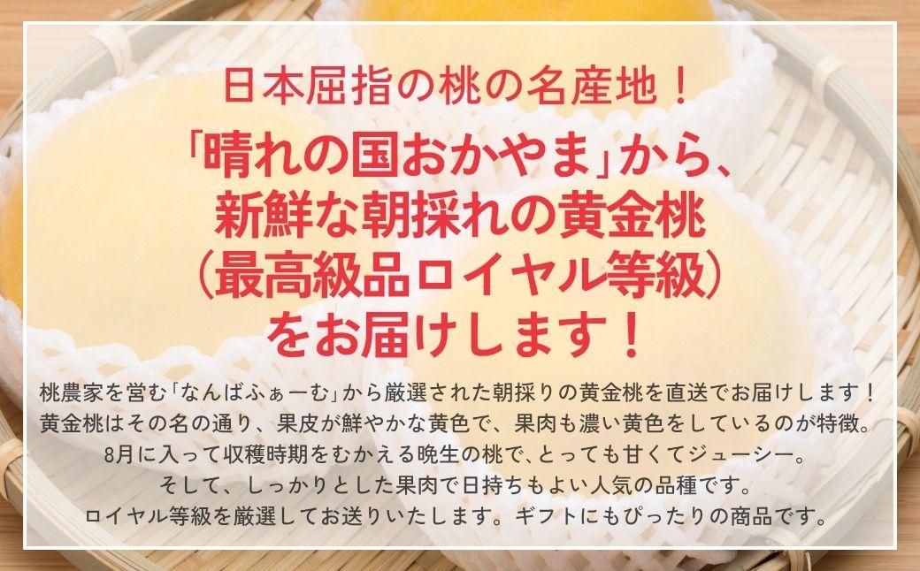 【2026年先行予約】［なんばふぁーむ］岡山県産 黄金桃 1.5kg（4～6玉）[ギフト用]桃 もも モモ おうごんとう フルーツ 果物  朝採り旬 岡山県産 産地直送 産直 送料無料 鏡野町桃 もも