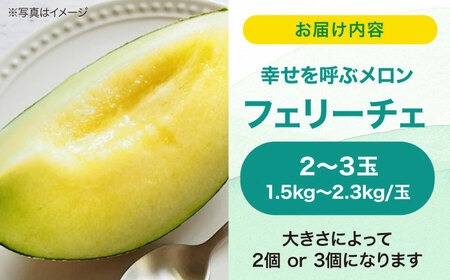【先行予約】【6月上旬から順次発送】 メロン フェリーチェ 2から3玉 愛媛県大洲市/梶原農園　めろん 果物 フルーツ くだもの 青肉 高級 お取り寄せ　[AGCX002]
