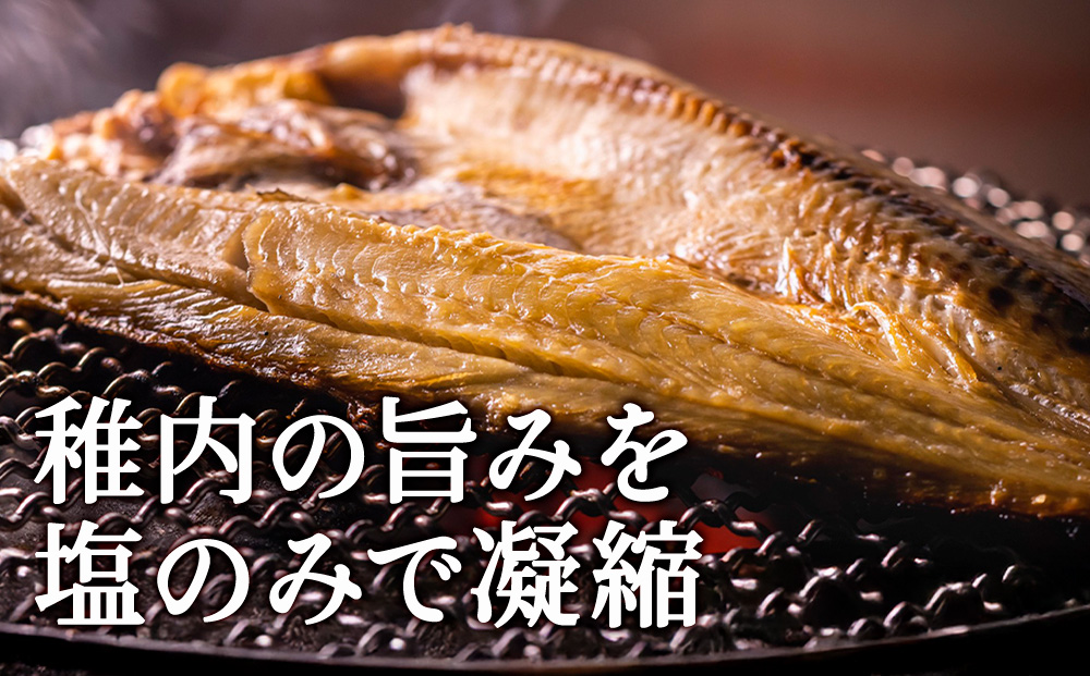 一夜干し魚セット