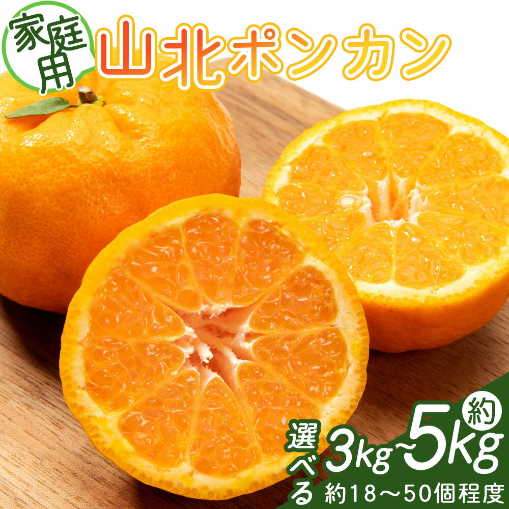 【ふるさと納税】【選べる数量】家庭用 山北ポンカン (選べる数量：3kg/5kg)(約18〜50個程度) - 選べる 数量 内容量 果物 フルーツ 柑橘類 ぽんかん ミカン 蜜柑 訳アリ わけあり 生産者応援 甘い おいしい 美味しい 山北みらい 高知県 香南市【常温】Ryk-0057