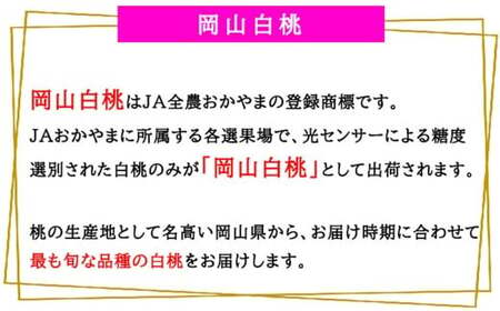 岡山白桃 ロイヤル 3玉 × 約200g 計約600g 岡山県産 （早生種・中生種） 【2026年7月上旬～8月下旬迄発送予定】 ／ 白桃 桃 もも 果物 果実 フルーツ 岡山県 美咲町 冷蔵