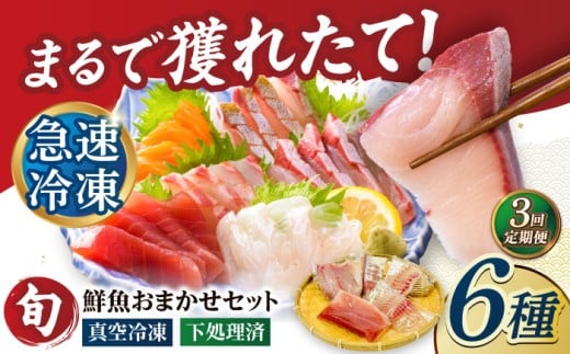 【3回定期便】海鮮 超速冷凍鮮魚6種（5種+焼物用1種）五島市/金沢鮮魚[PEP065]刺身 さしみ 刺し身 刺身セット 刺身 刺身丼 海鮮丼 セット 冷凍 海鮮  海鮮丼の具 盛り合わせセット 小分け 海鮮 魚介人気  セット 魚介類 海鮮 人気 柵 真空パック 新鮮 下処理済み