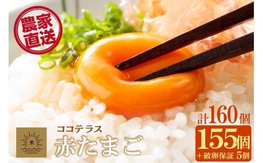 ココテラスの明日（赤たまご）155個+5個保証（計160個）【JGAP認証】