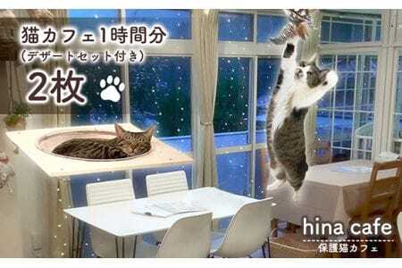 デザートセットチケット2枚 ／ hinacafe 猫カフェ スイーツ ドリンク 保護猫 遊び 触れ合い 写真撮影 まったり 癒し 山口県 No.204