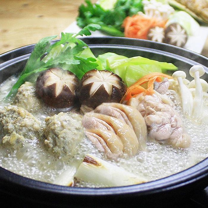 【ふるさと納税】博多水炊き（はかた地どり切り身・つみれ）セット2～3人前 B106J | 肉 お肉 にく 食品 国産 人気 おすすめ 送料無料 ギフト