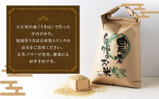 【特Aランク米】五庄屋の地で作ったお米 ひのひかり 玄米 (30kg) 【2025年10月下旬より順次発送予定】 ヒノヒカリ こめ コメ ごはん ご飯 福岡県うきは市産 九州産 玄米 ひのひかり 30