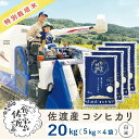 【ふるさと納税】【新米】佐渡島産コシヒカリ 白米20Kg(5Kg×4袋) 特別栽培米 令和6年産 ”ベストファーマー認証受賞歴” | お米 こめ 白米 食品 人気 おすすめ 送料無料