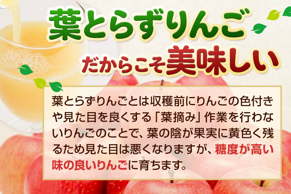 葉とらずりんごジュース（1000g×6本セット）青研 ためのぶストア [アップル おいしい ジュース セット セット品 はとらず りんご 飲料 果実 果物 取ら 美味 葉っぱ 葉とらず 林檎]