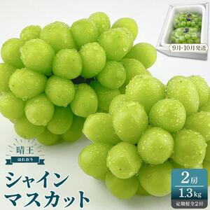 2026年　先行予約　受付中　シャインマスカット　晴王　2房　約1.3kg　２回　定期便　　9月・10月に1回ずつ発送　岡山県産　種無し　皮ごと食べる　みずみずしい　甘い　フレッシュ　9月～10月発送　晴れの国　おかやま　果物大国　彩美菜果 岡山県 岡山市 おすすめ 人気