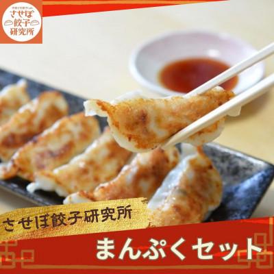 ふるさと納税 佐世保市 〈させぼ餃子研究所〉させぼ餃子まんぷくセット