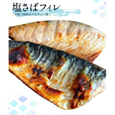 ふるさと納税 日高町 迷ったらコレ!魚鶴商店の天然紅サケ1kg & 塩さばフィレ6枚セット |  | 03