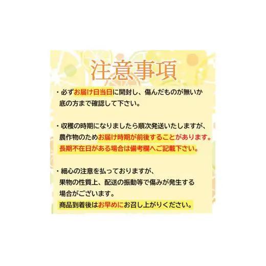 ギフト プレゼント 人気 【 超訳あり 】 小夏 ( 日向夏 ) 5kg 産地直送 ニューサマーオレンジ マル 等級  旬 高知 県 須崎 産  柑橘 初夏 フルーツ 果物 こなつ コナツ ひゅうが夏