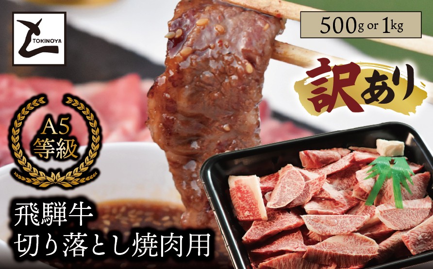 
                  【訳あり】＼選べる容量／A5 飛騨牛 切り落とし 焼肉用｜岐阜県産 国産 黒毛和牛 ブランド牛 霜降り 不揃い 冷凍 贅沢 高級肉 おすすめ 人気 トキノ屋食品
                