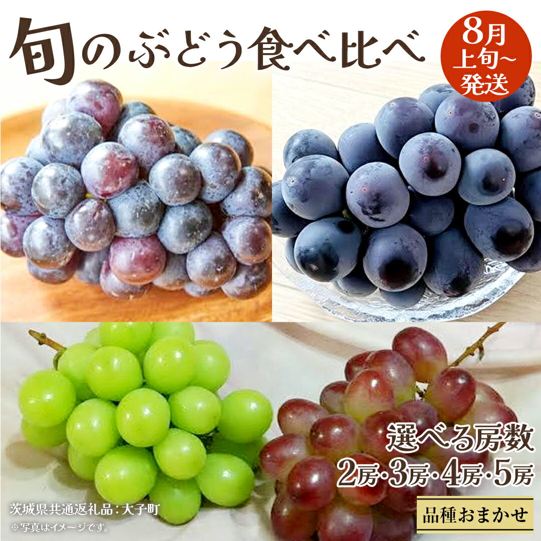 【ふるさと納税】《 選べる 房数 》旬な ぶどう 食べ比べ 700g × 2房 / 3房 / 4房 / 5房【2026年8月上旬発送開始】(茨城県共通返礼品：大子町) ぶどう 葡萄 フルーツ 果物 おまかせ お楽しみ