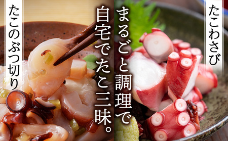 北海道天塩町 煮たこ 足 700g前後<天塩の國> タコ 蛸 ミズダコ 海鮮 ボイル 刺身 おせち 北海道ふるさと納税