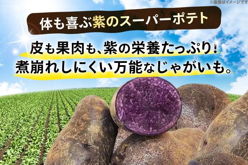 じゃがいも シャドークイーン 5kg