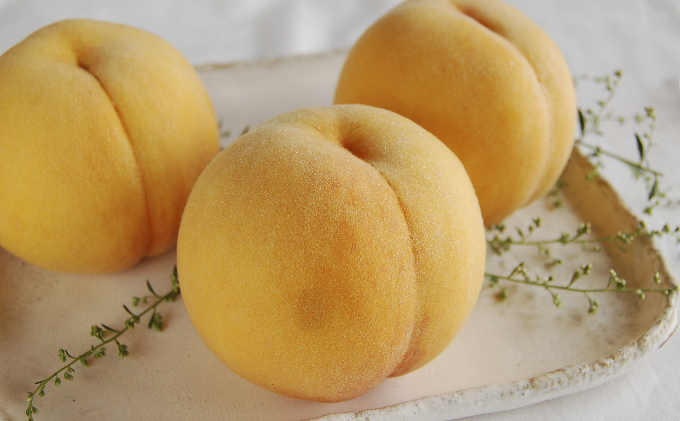 桃 2026年 先行予約 黄金 桃 3kg 9～12玉 もも モモ 岡山 国産 フルーツ 果物 ギフト 桃茂実苑