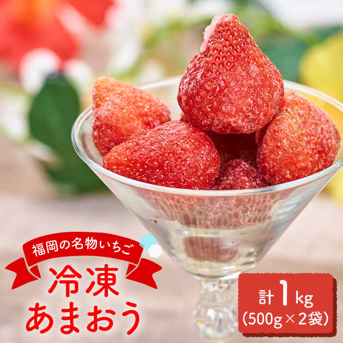 【ふるさと納税】福岡産 冷凍 あまおう 1kg 500g×2袋＜南国フルーツ株式会社＞ 那珂川市 | 父の日 母の日 いちご フルーツ くだもの 果物 あまおう 九州産 苺 国産 冷凍いちご[GCD005] 10000 10000円 1万円 以上