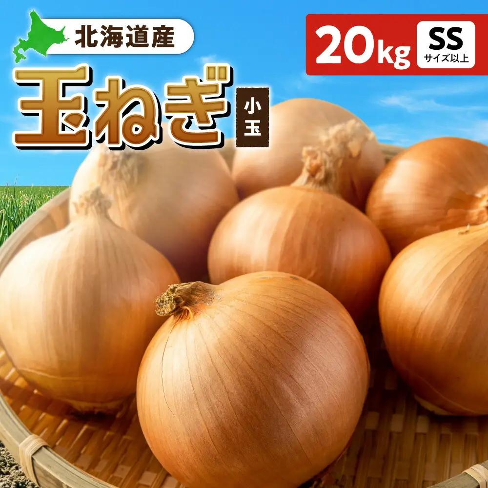 玉ねぎ 北海道産 小玉 20kg SSサイズ以上