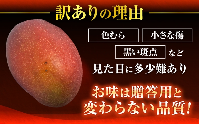 沖縄県産 完熟マンゴー 訳アリ 1kg (2〜3玉) マンゴー 沖縄 果物 フルーツ ギフト まんごー 訳あり 家庭用 