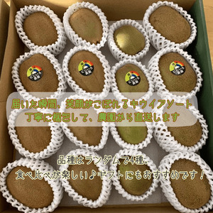 キウイフルーツ 食べ比べ 4種 約1.9kg あぶ町産 アソート