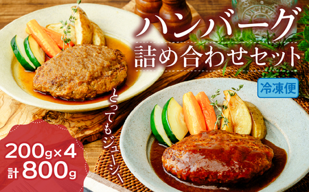 ハンバーグ ステーキ山オリジナル 冷凍合挽ハンバーグ 詰め合わせセット