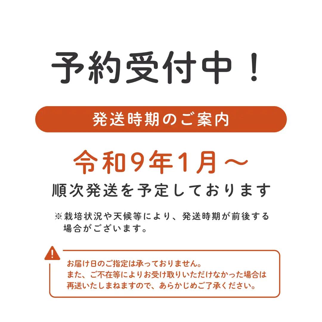 埼玉県吉見町 吉見いちご【特撰】あまりん 3L規格以上・2パック｜産地直送 
