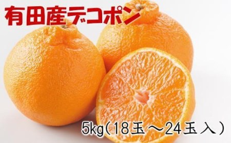 【お味濃厚】紀州有田産のデコポン約5kg(18玉～24玉入り・青秀以上) ※2024年1月下旬頃～2024年3月下旬頃に順次発送（お届け日指定不可）【tec810】