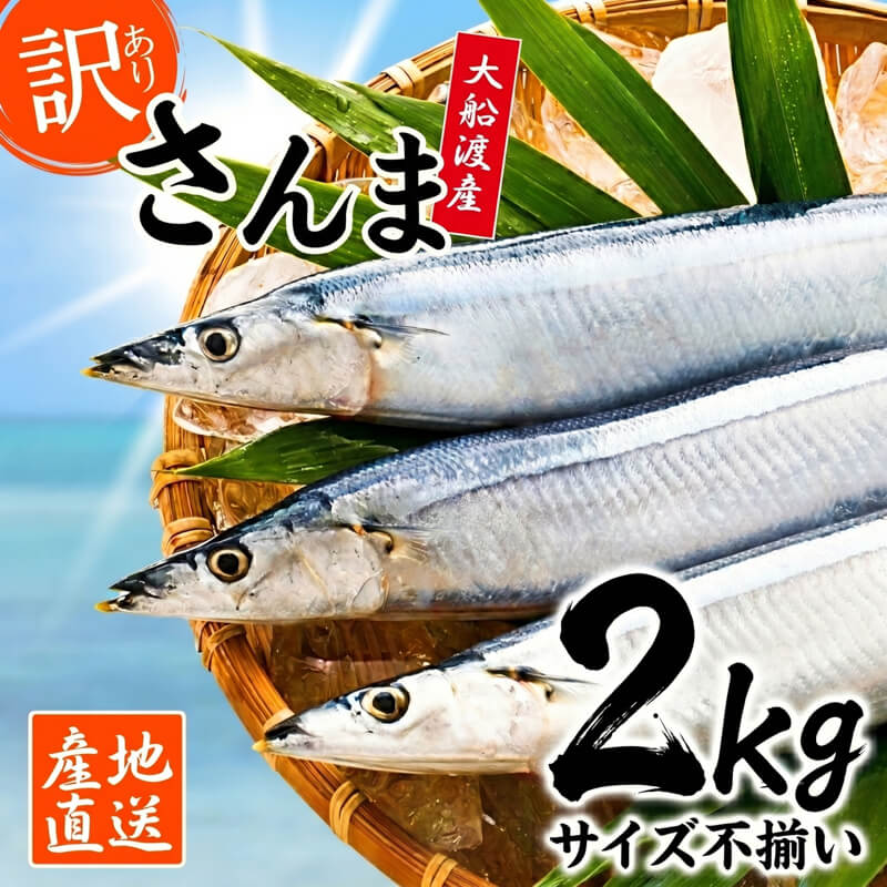 【ふるさと納税】 訳あり 鮮さんま 2kg 冷蔵 不揃い 訳アリ 鮮秋刀魚 さんま [発送:2026年9月〜2026年11月下旬] 三陸 岩手県 大船渡市 サンマ 秋刀魚 生 産地直送 大容量 水揚げ当日 旬 季節限定