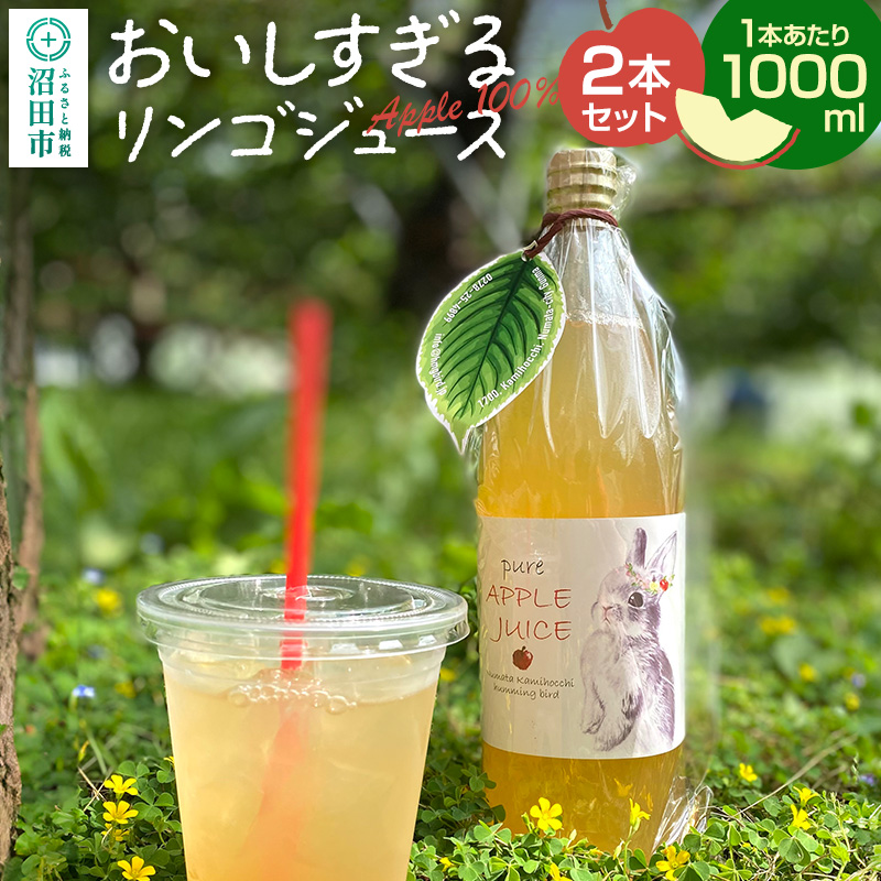 おいしすぎるリンゴジュース 1000ml×2本 ハミングバード